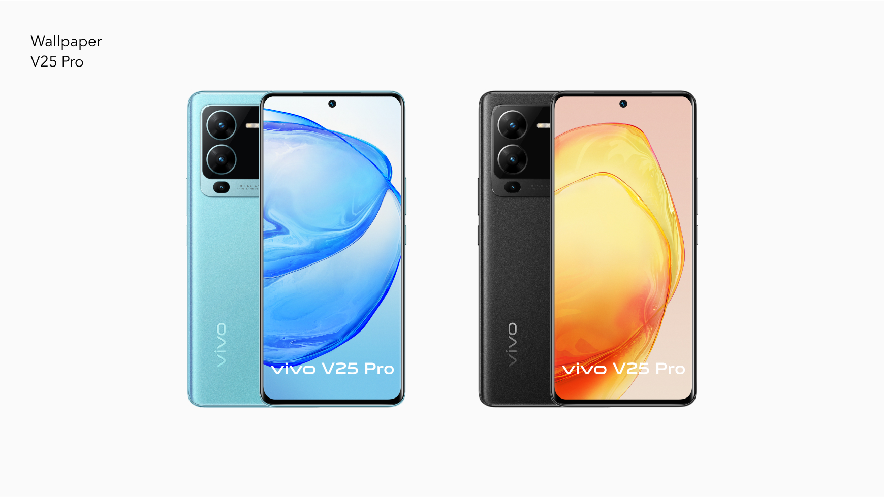 Vivo V Series India Ground